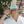 Surf Hat